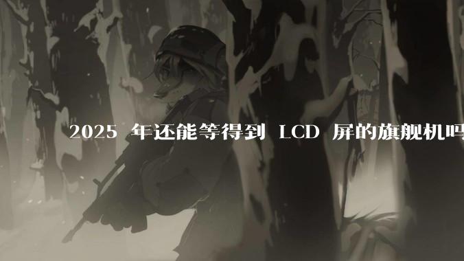 2025 年还能等得到 LCD 屏的旗舰机吗?