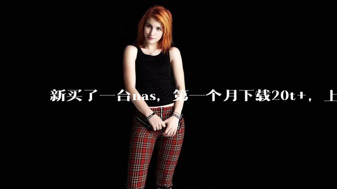 新买了一台nas,第一个月下载20t+,上传5+,不会被网警盯上吧?