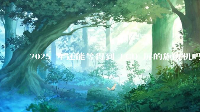 2025 年还能等得到 LCD 屏的旗舰机吗?