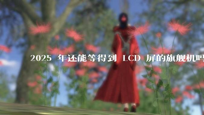 2025 年还能等得到 LCD 屏的旗舰机吗?