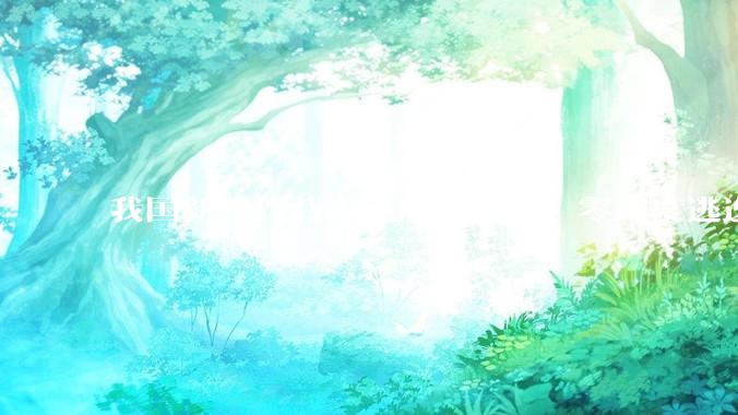 我国新一代载人飞船「梦舟」零高度逃逸飞行试验成功,该实验有怎样的意义?「梦舟」在未来会发挥哪些作用?