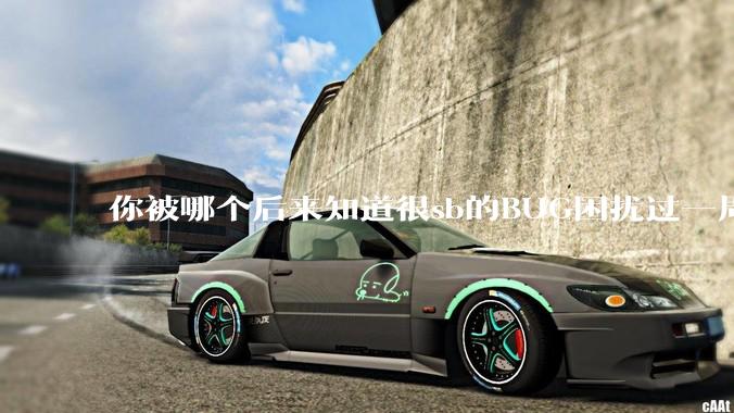 你被哪个后来知道很sb的BUG困扰过一周以上吗?