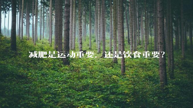 减肥是运动重要,还是饮食重要?
