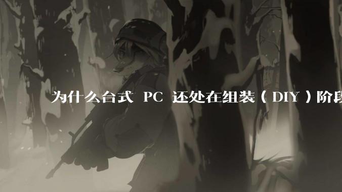 为什么台式 PC 还处在组装(DIY)阶段?