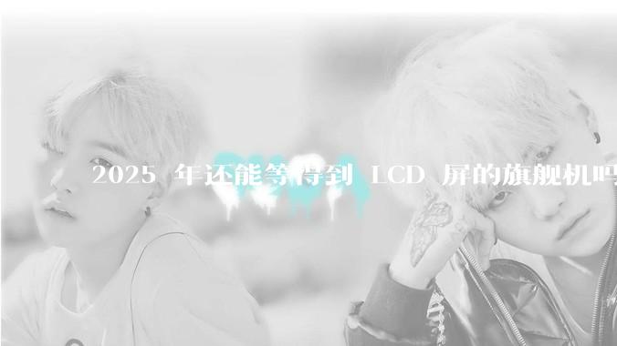 2025 年还能等得到 LCD 屏的旗舰机吗?
