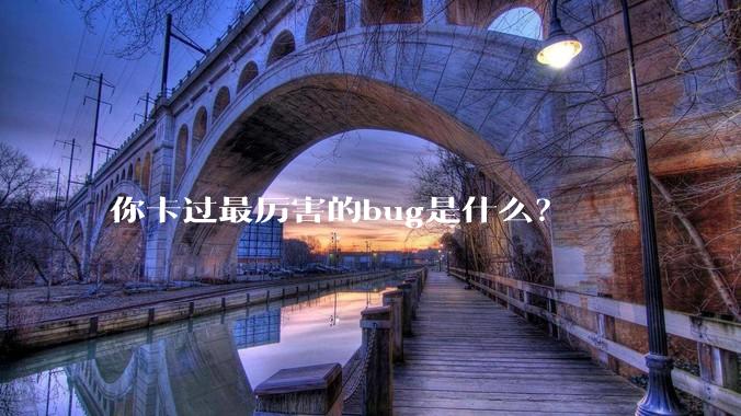 你卡过最厉害的bug是什么?