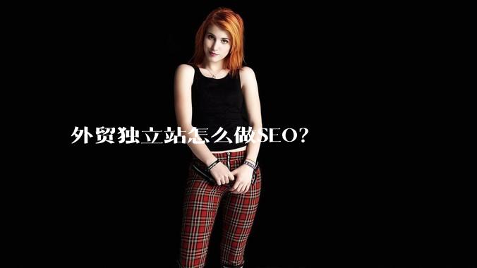 外贸独立站怎么做SEO?