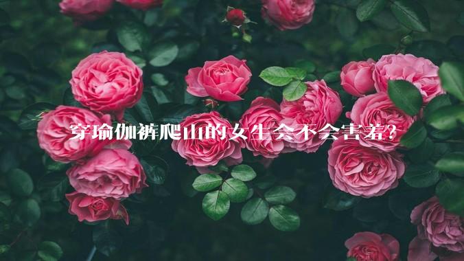 穿瑜伽裤爬山的女生会不会害羞?