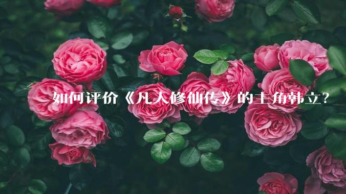 如何评价《凡人修仙传》的主角韩立?