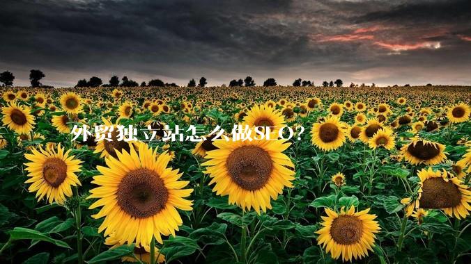 外贸独立站怎么做SEO?