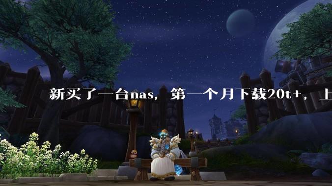 新买了一台nas,第一个月下载20t+,上传5+,不会被网警盯上吧?