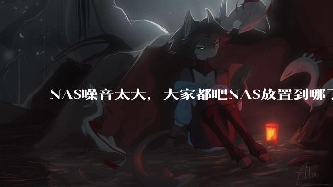 NAS噪音太大,大家都吧NAS放置到哪了?