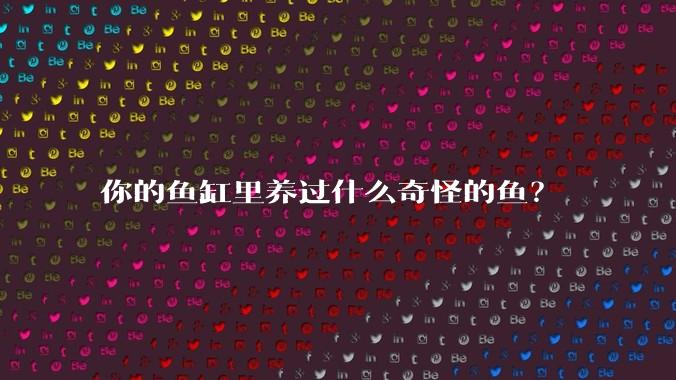 你的鱼缸里养过什么奇怪的鱼?
