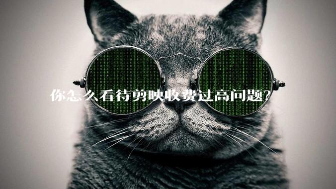 你怎么看待剪映收费过高问题?