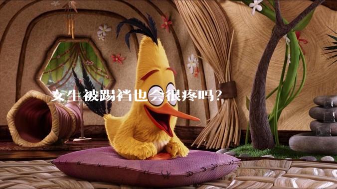 女生被踢裆也会很疼吗?