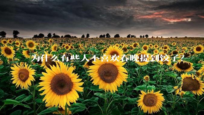 为什么有些人不喜欢春晚提到饺子?