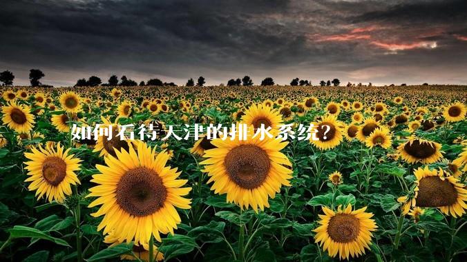 如何看待天津的排水系统?