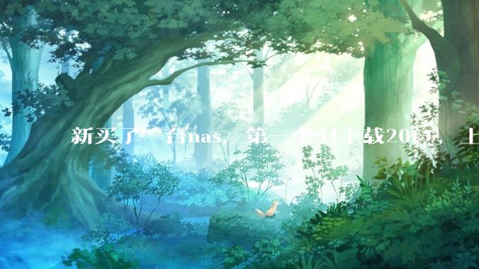 新买了一台nas,第一个月下载20t+,上传5+,不会被网警盯上吧?