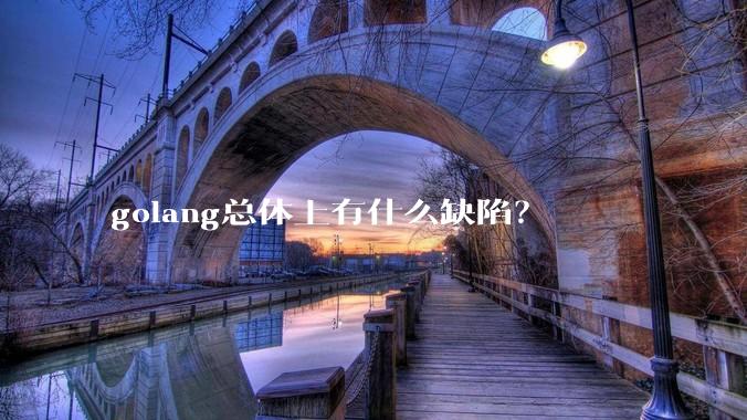 golang总体上有什么缺陷?