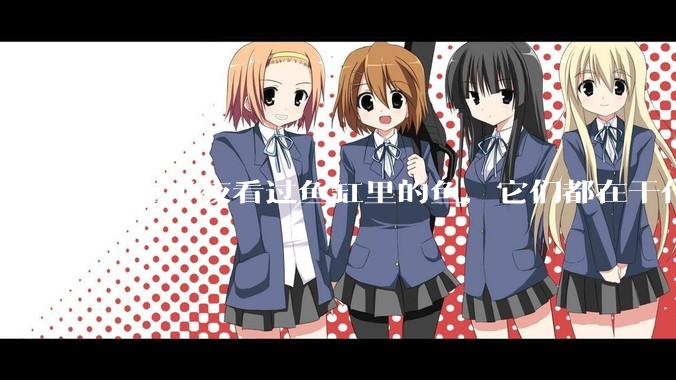 谁在半夜看过鱼缸里的鱼,它们都在干什么?