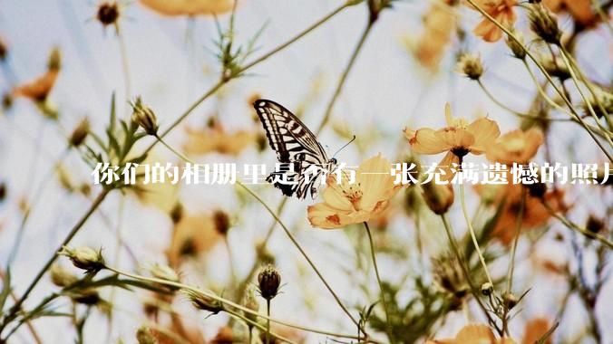 你们的相册里是否有一张充满遗憾的照片?