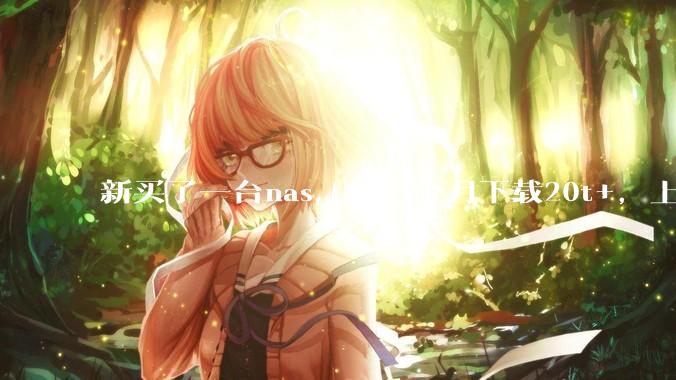 新买了一台nas,第一个月下载20t+,上传5+,不会被网警盯上吧?