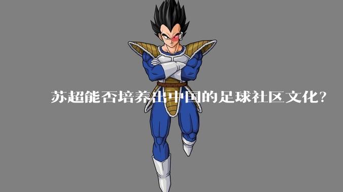苏超能否培养出中国的足球社区文化？
