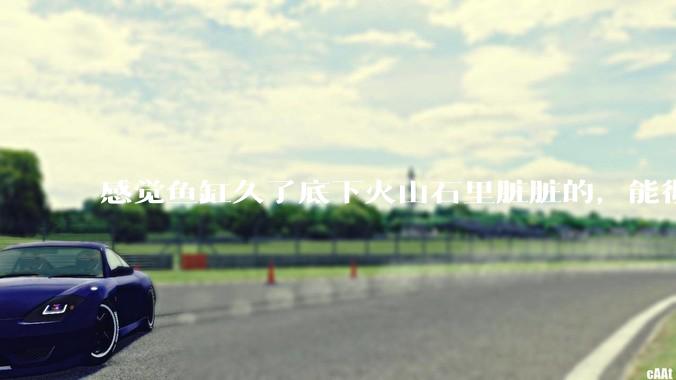 感觉鱼缸久了底下火山石里脏脏的,能彻底换水清理一遍不?