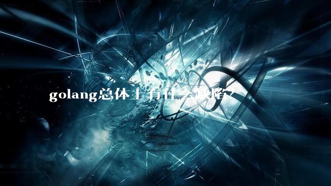 golang总体上有什么缺陷?