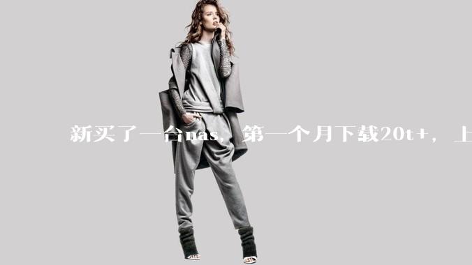 新买了一台nas,第一个月下载20t+,上传5+,不会被网警盯上吧?