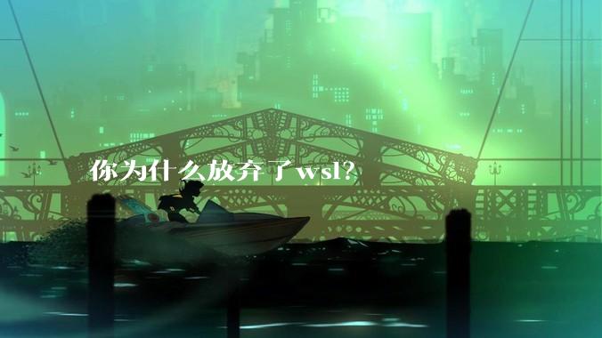 你为什么放弃了wsl?