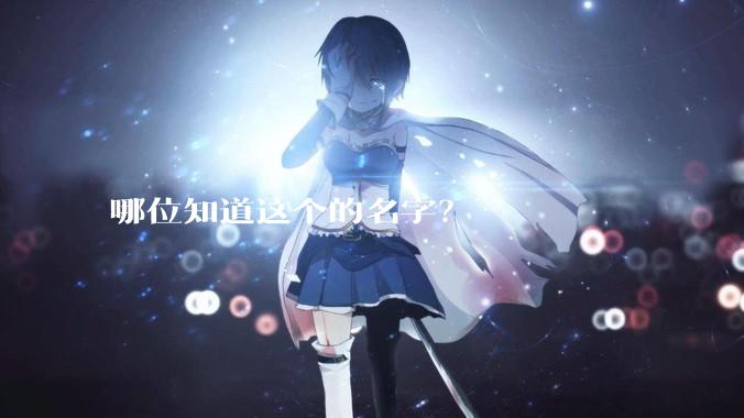 哪位知道这个的名字？
