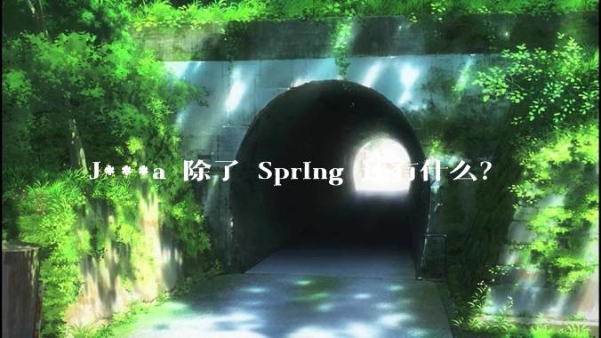 J***a 除了 Spring 还有什么?