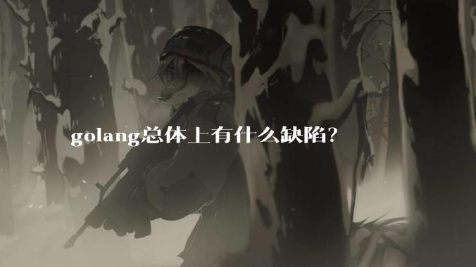 golang总体上有什么缺陷?