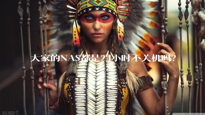 大家的NAS都是24小时不关机吗?