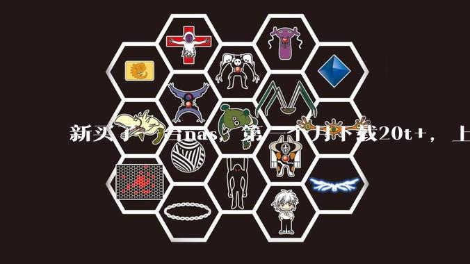 新买了一台nas,第一个月下载20t+,上传5+,不会被网警盯上吧?