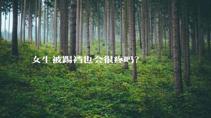 女生被踢裆也会很疼吗?