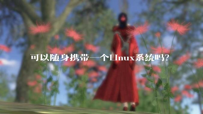 可以随身携带一个Linux系统吗?