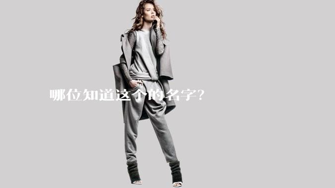 哪位知道这个的名字?