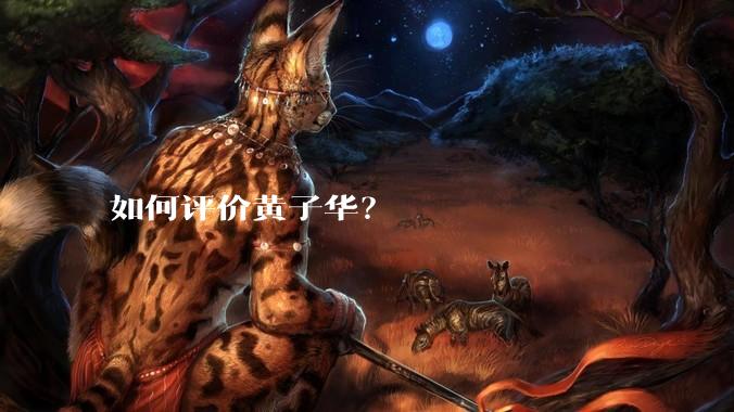 如何评价黄子华?