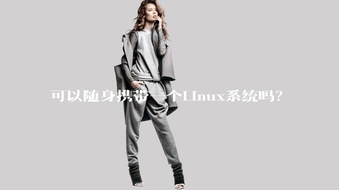 可以随身携带一个Linux系统吗?