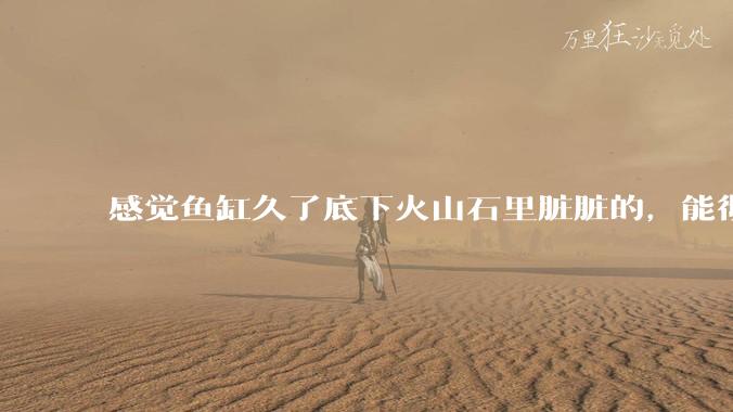 感觉鱼缸久了底下火山石里脏脏的,能彻底换水清理一遍不?