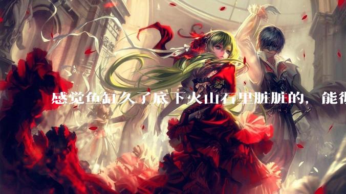 感觉鱼缸久了底下火山石里脏脏的,能彻底换水清理一遍不?