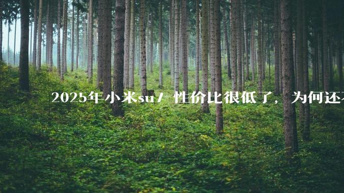 2025年小米su7 性价比很低了,为何还不更新改款?