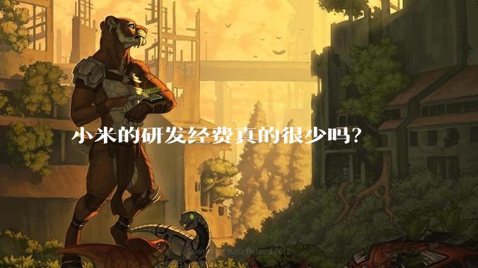 小米的研发经费真的很少吗?