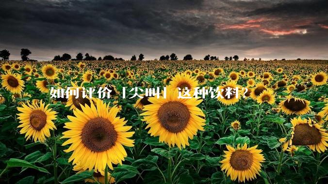 如何评价「尖叫」这种饮料?