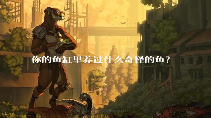 你的鱼缸里养过什么奇怪的鱼?