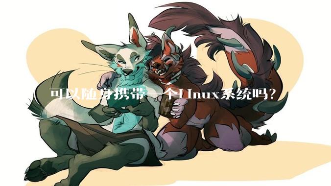 可以随身携带一个Linux系统吗?