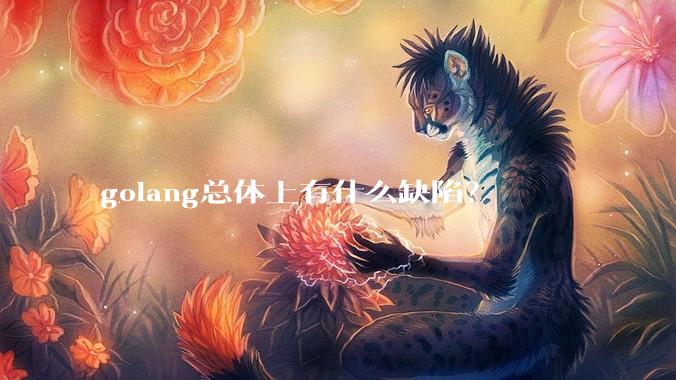 golang总体上有什么缺陷?