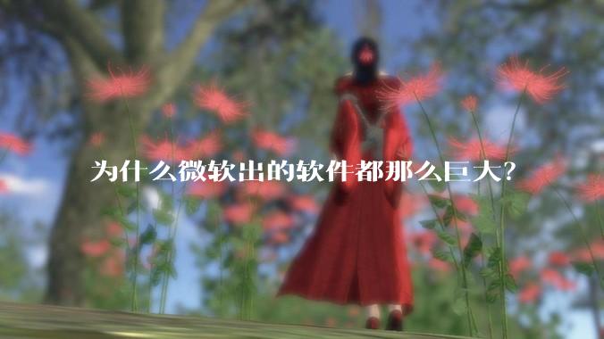 为什么微软出的软件都那么巨大?